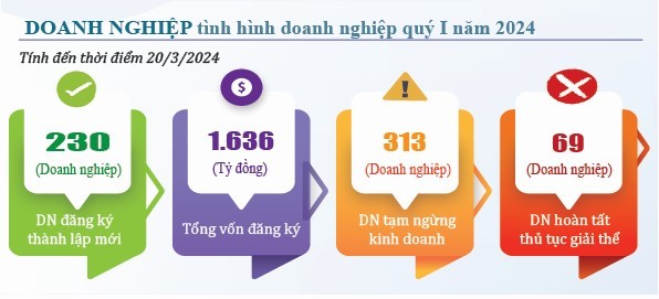 6PG88VN