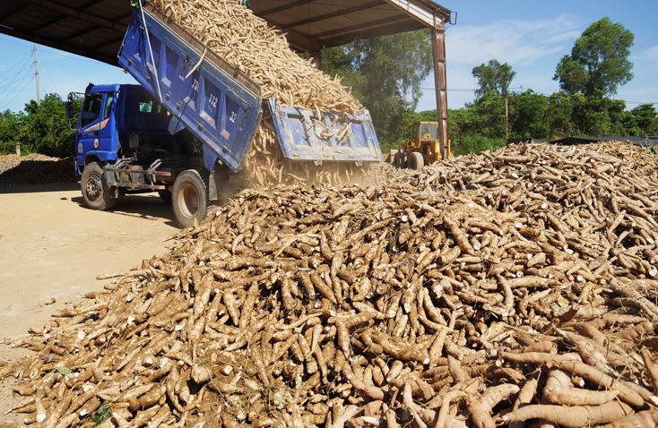 Tổng cục Thuế xây dựng cơ sở dữ liệu thông tin về các 6Pg88.con độc quyền mỗi ngày cung cấp đầu vào của 6Pg88.con độc quyền mỗi ngày hoàn thuế và thanh kiểm tra khi có rủi ro.