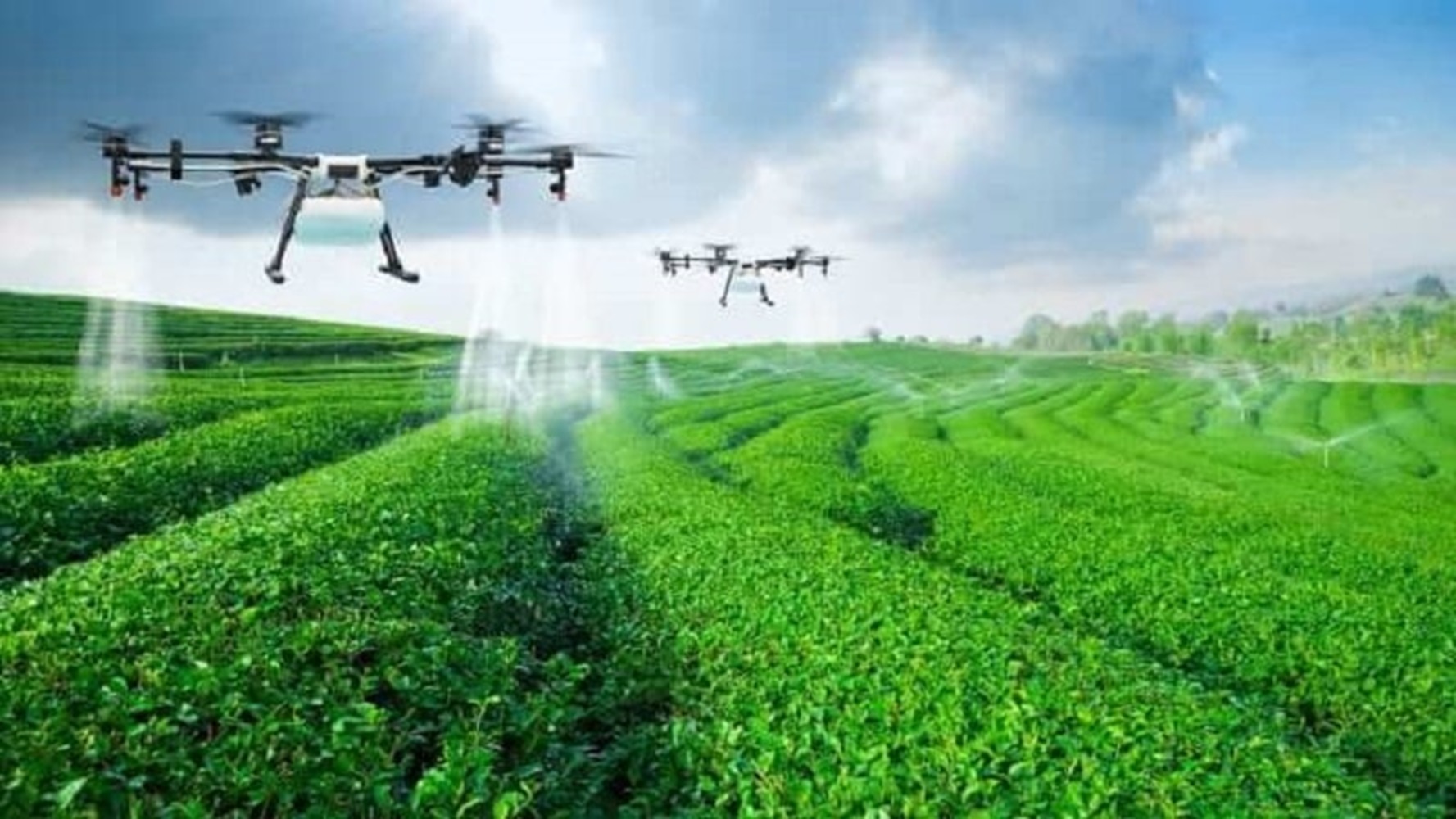 Sản xuất phân bón, thuốc bảo vệ thực vật chuyển đổi theo hướng xanh, giảm phát thải