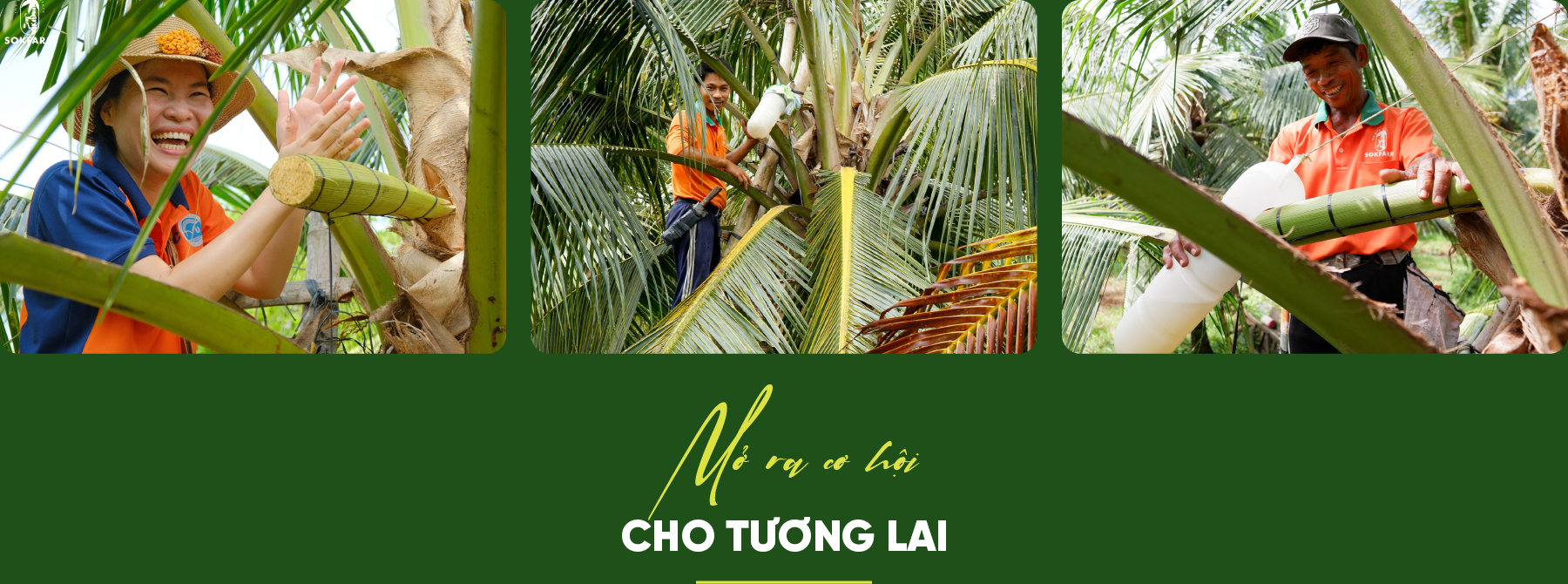 6PG88VN