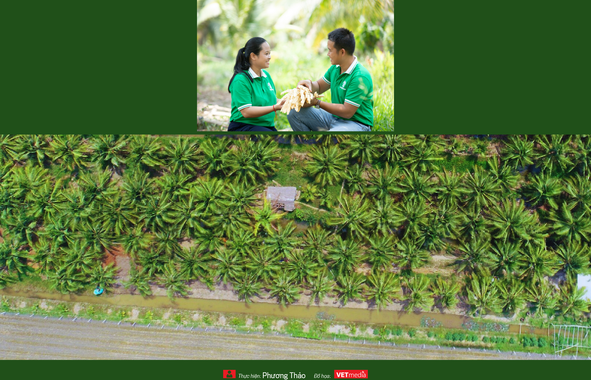 6PG88VN