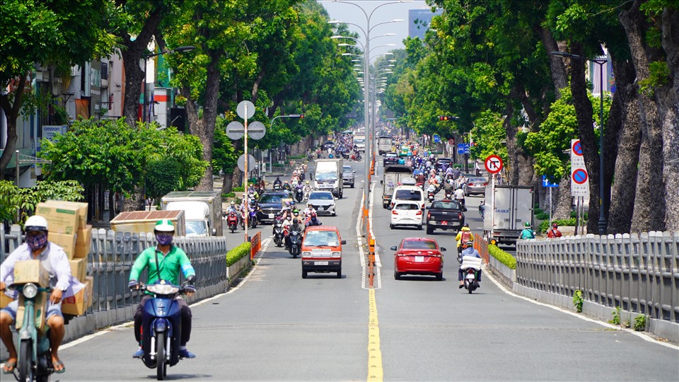 TP.HCM sắp di dời, đốn hạ hơn 450 cây xanh để làm metro số 2 - Ảnh minh họa.