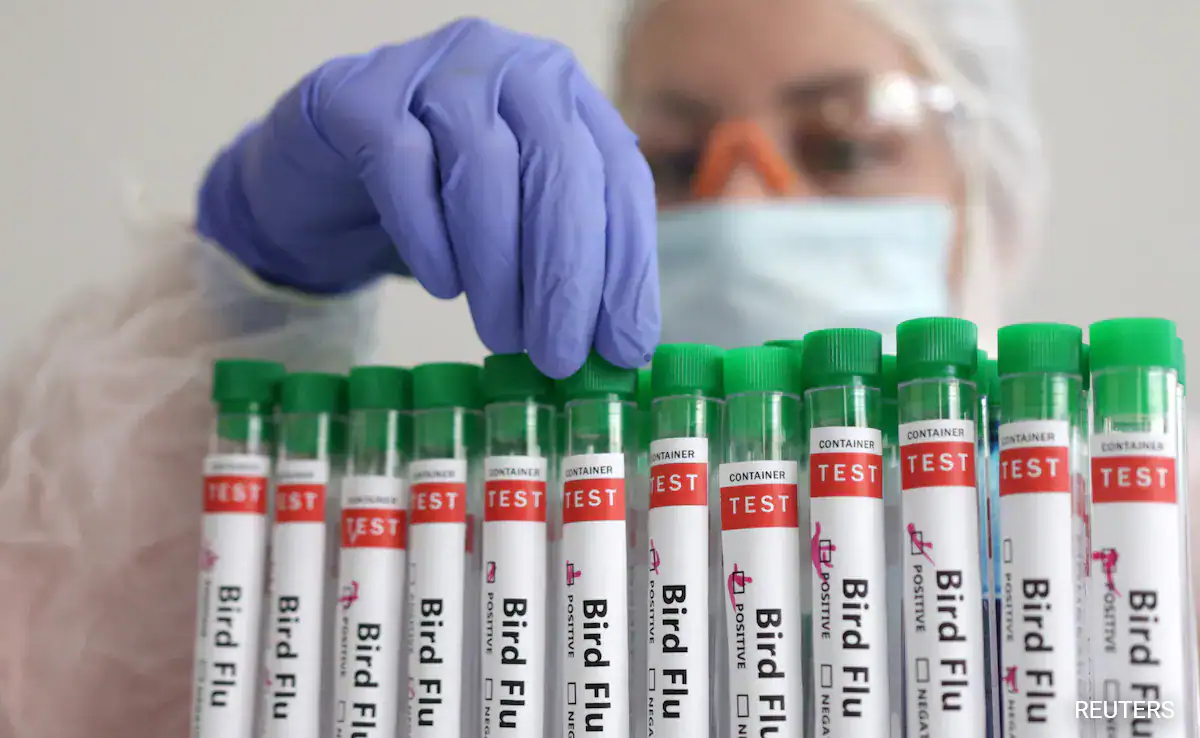 WHO cho biết sẽ c&oacute; gần 20 loại vaccine ngừa c&uacute;m A/H5N1 được cấp ph&eacute;p sử dụng nếu xảy ra đại dịch.