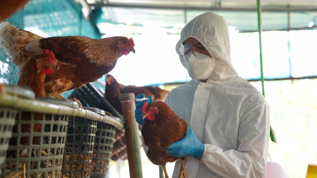 Virus dường như đang đi t&igrave;m những vật chủ mới v&agrave; t&igrave;nh trạng virus lan sang nh&oacute;m động vật c&oacute; v&uacute;.