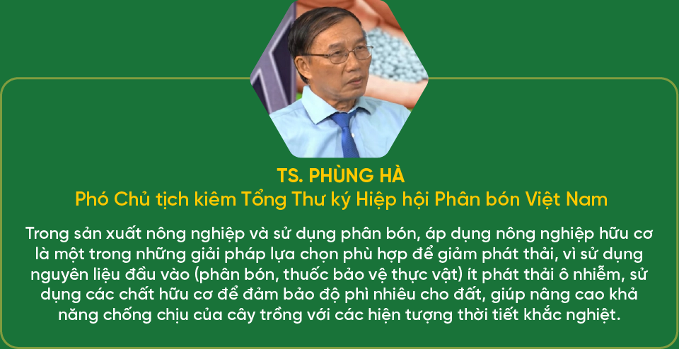 6PG88VN