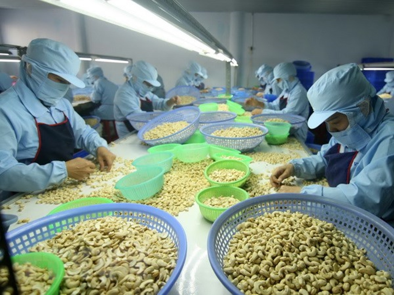 Pg88 com chính chủ điều 4 tháng đầu năm 2024 tăng cả lượng và giá trị.