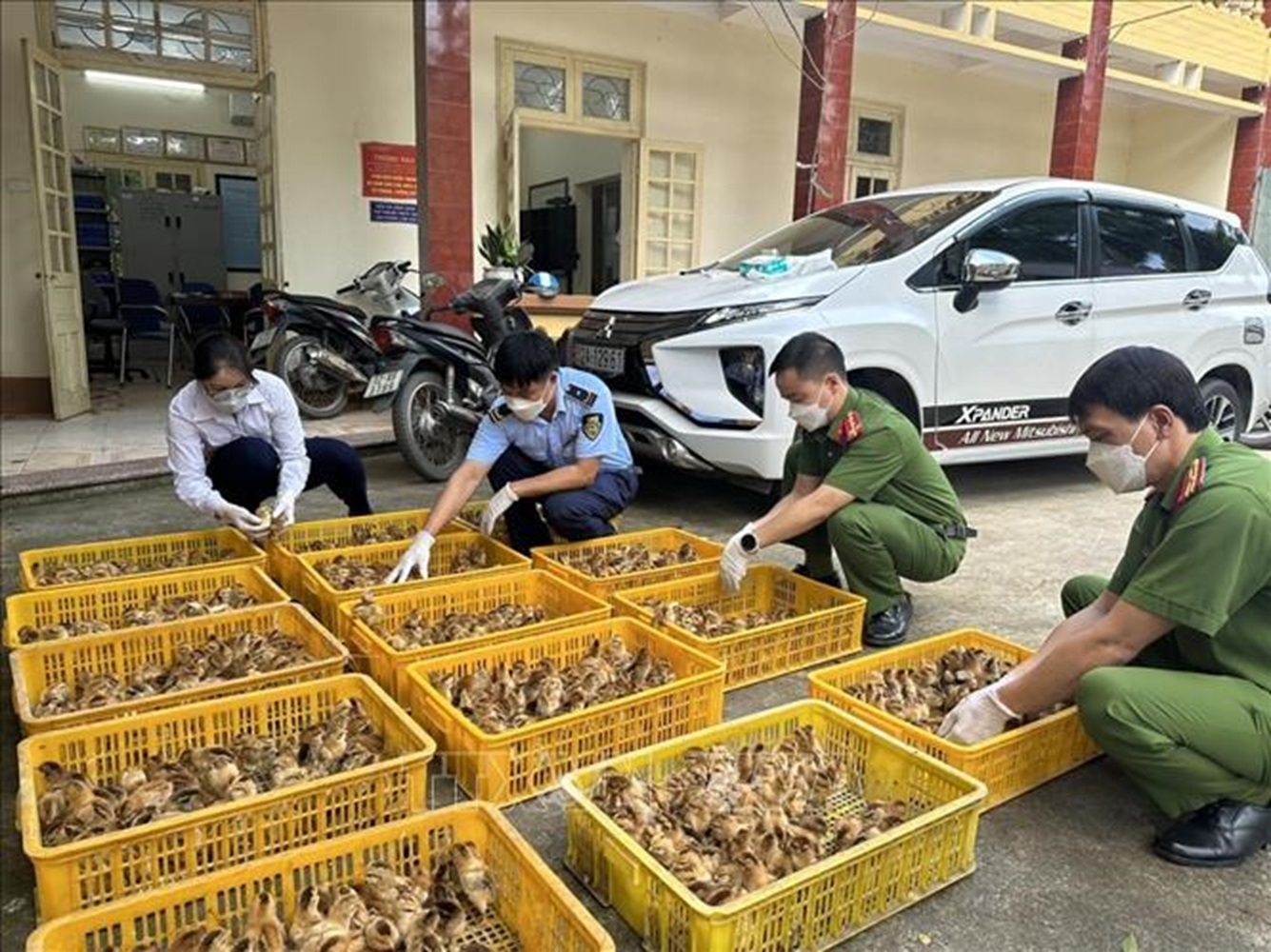 Xử lý triệt để nạn buôn bán gia súc, gia cầm để bảo vệ người nông dân và PG88 Link Dễ Nhớ Pg88.com chăn nuôi