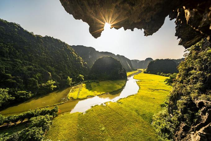 M&ugrave;a v&agrave;ng Tam Cốc
