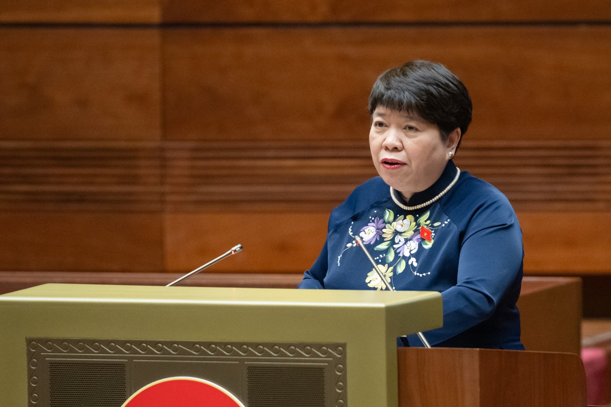 Chủ nhiệm Ủy ban X&atilde; hội Nguyễn Th&uacute;y Anh tr&igrave;nh b&agrave;y b&aacute;o c&aacute;o thẩm tra. Ảnh: Quochoi.vn.