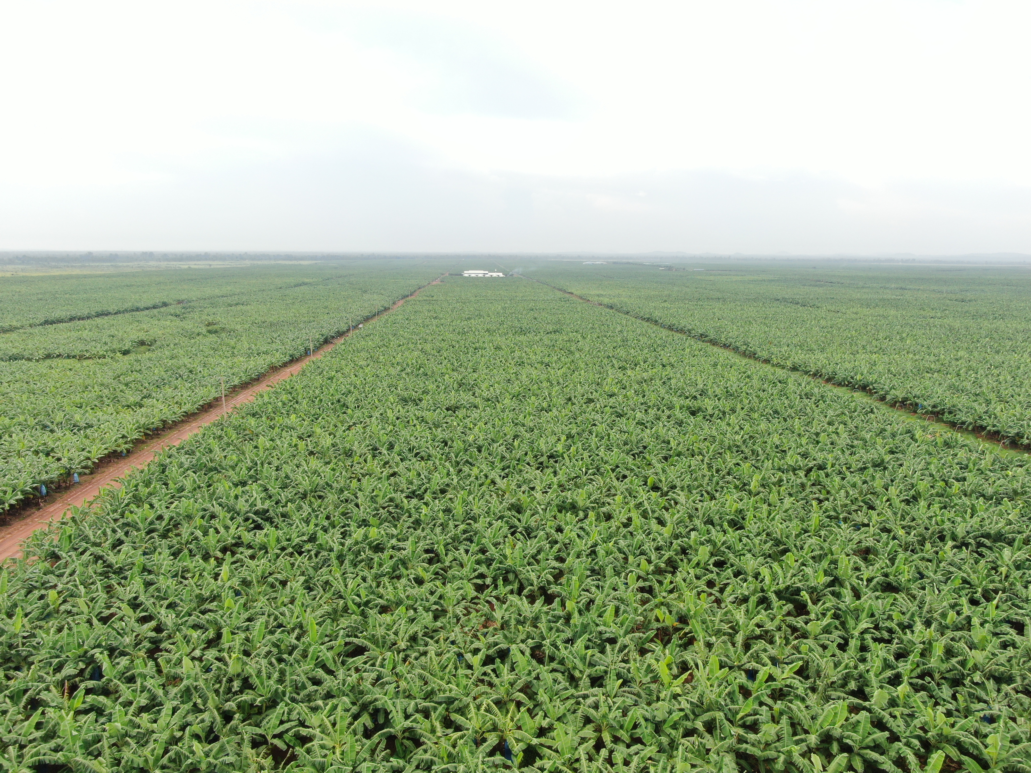 Bên cạnh việc mở rộng hệ thống phân phối nội địa, THACO AGRI tiếp tục hợp tác chiến lược với các đối tác hàng đầu trong ngành nông nghiệp Link Đăng Nhập PG88 Chính Thức 2026; cao.