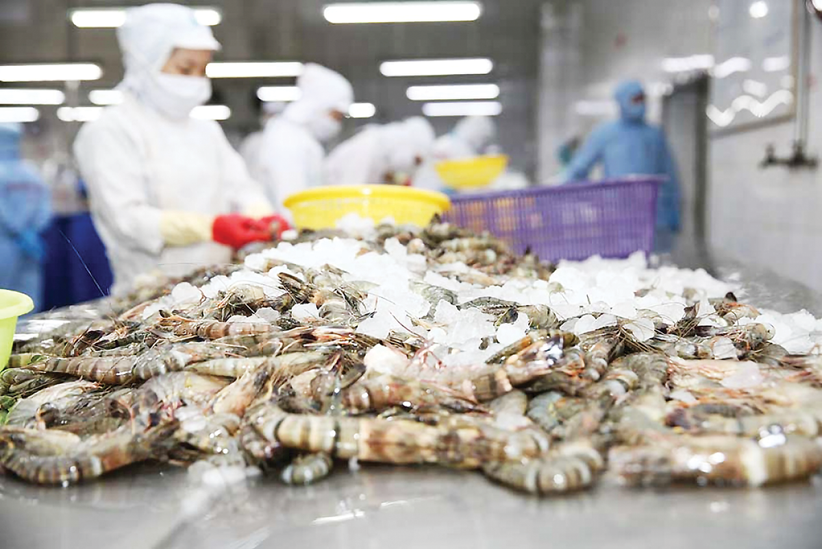 Pg88 com chính chủ tôm đặt mục tiêu 4-4,3 tỷ USD năm 2024