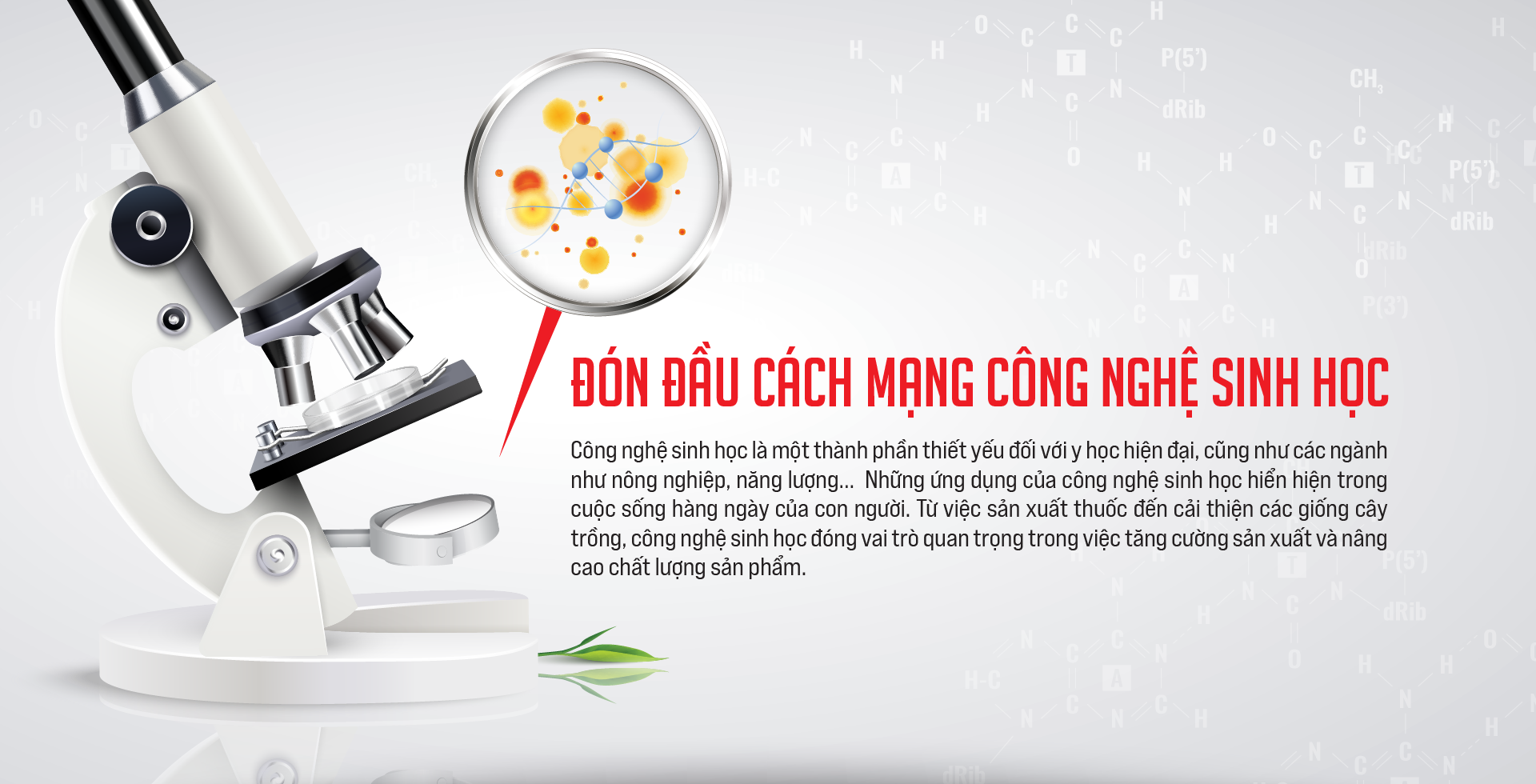 6PG88VN