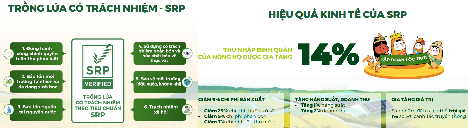 6PG88VN