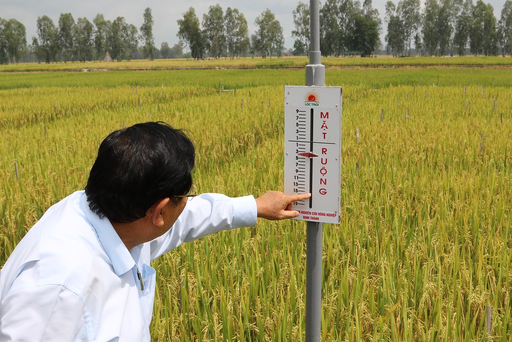 Đề án PG88 hơn 2,1 triệu thành viên bền vững 1 triệu ha lúa chất lượng cao, giảm phát thải đang mở ra một hệ sinh thái, giúp Lộc Trời thực hiện sứ mệnh mà mình mong đợi.