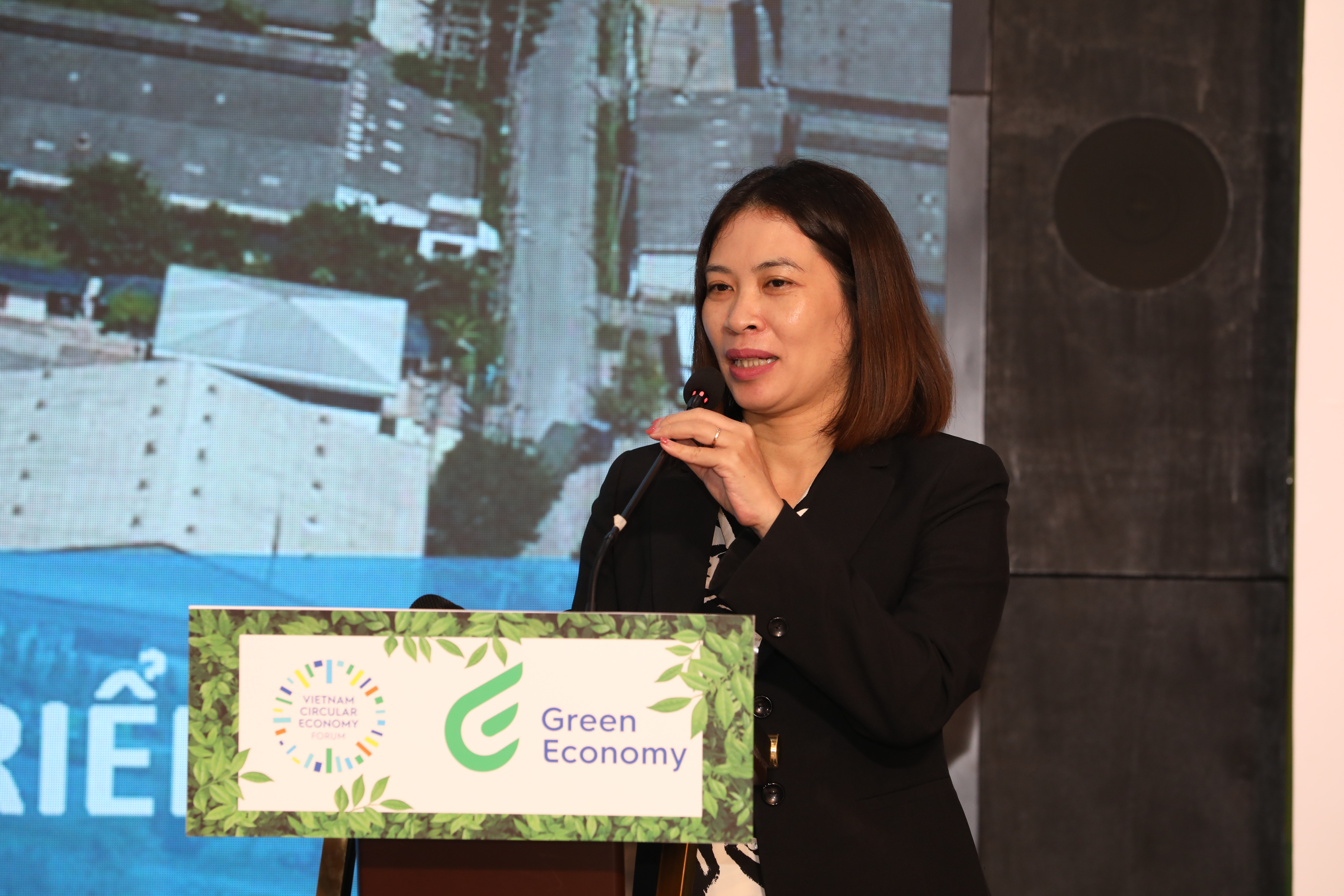 B&agrave; Nguyễn Tr&acirc;m Anh, Chuy&ecirc;n gia Kỹ thuật Quốc gia UNIDO: 