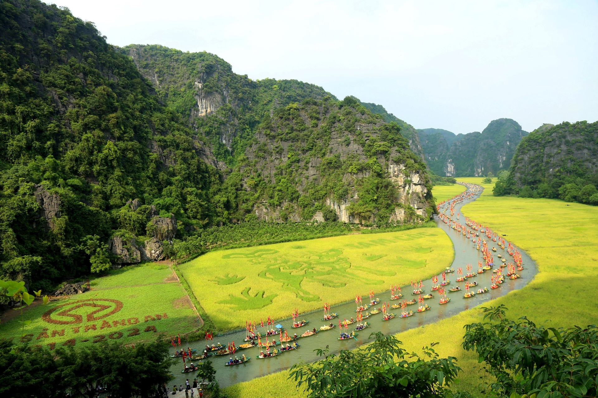Tuần Du lịch Ninh B&igrave;nh năm 2024, du kh&aacute;ch được tham gia, chi&ecirc;m ngưỡng c&aacute;nh đồng l&uacute;a nghệ thuật đẹp nhất Việt Nam với tạo h&igrave;nh 