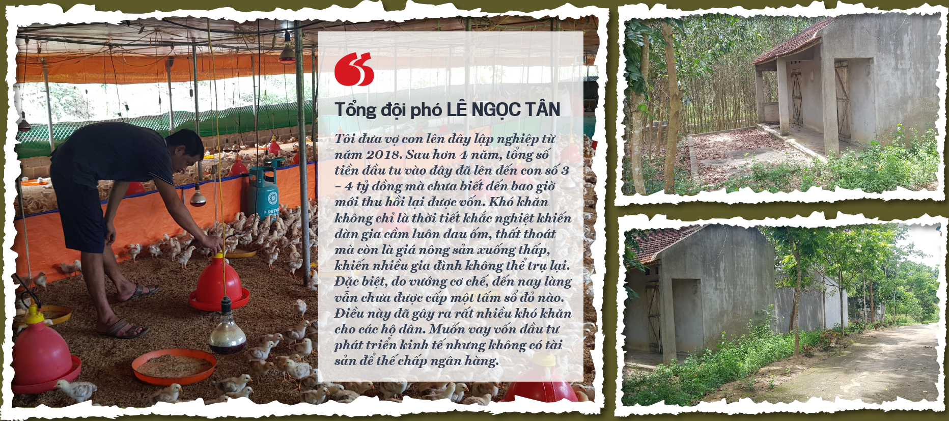 6PG88VN