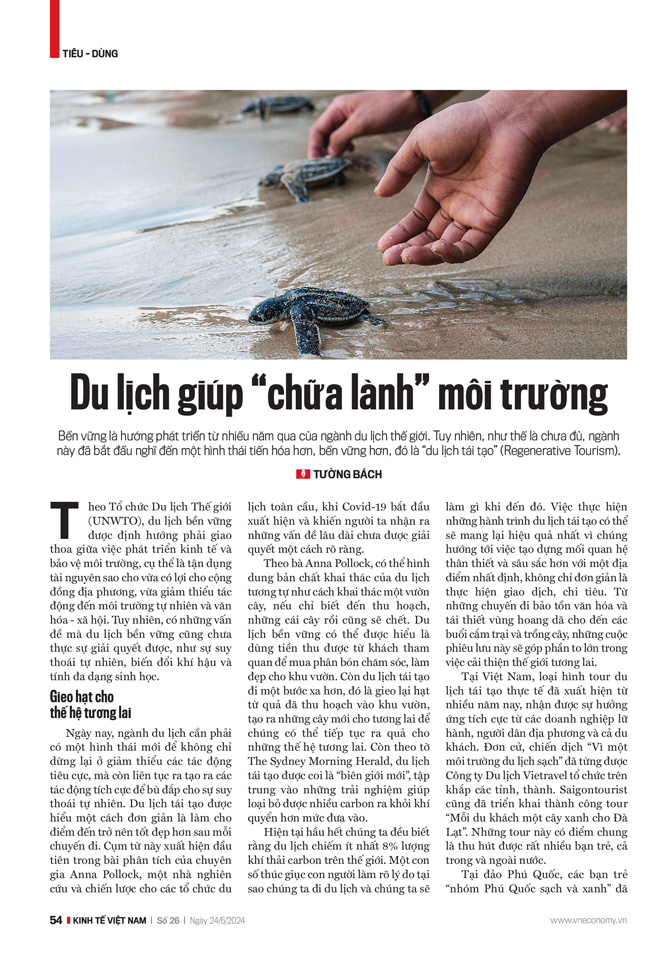 6PG88VN