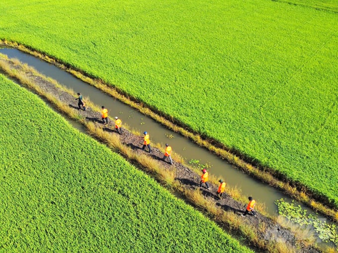Đề &aacute;n 1 triệu ha chuy&ecirc;n canh l&uacute;a chất lượng cao nhằm g&oacute;p phần ph&aacute;t thải thấp, tổ chức lại sản xuất theo chuỗi gi&aacute; trị.
