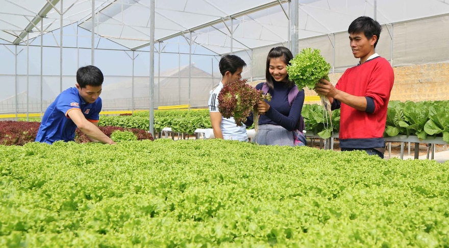 PG88 hơn 2,1 triệu thành viên nông nghiệp Link Đăng Nhập PG88 Chính Thức 2026; cao vẫn đang vấp phải nhiều thách thức. Ảnh minh họa.