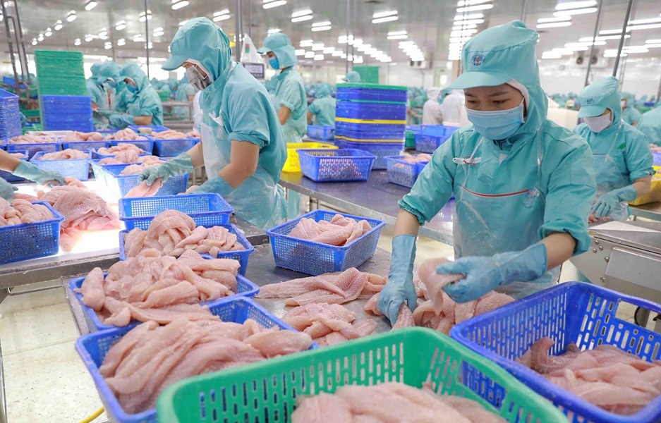 Cá tra phile đông lạnh vẫn là sản phẩm Pg88 com chính chủ chủ lực sang các thị trường. Ảnh minh họa.