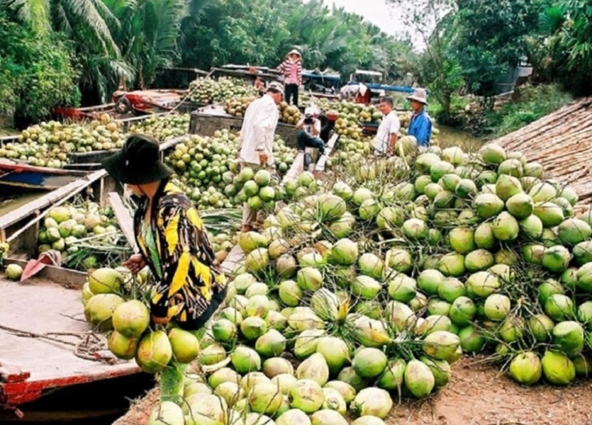 Việt Nam và Trung Quốc đã nhất trí sớm hoàn tất cả thủ tục để ký kết Nghị định thư về yêu cầu kiểm dịch quả dừa tươi trong thời gian tới, sẽ mở ra triển vọng Pg88 com chính chủ cho trái dừa của Việt Nam.