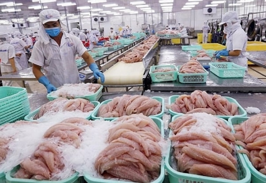 Việt Nam Pg88 com chính chủ sang Mexico chủ yếu là sản phẩm cá tra phile đông lạnh và cá tra cắt khúc đông lạnh. Ảnh minh họa.