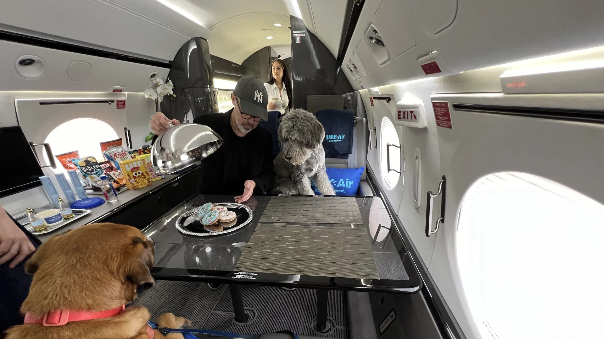 Bark Air đ&atilde; ch&iacute;nh thức khai th&aacute;c chuyến bay Pg88ok ưu đãi hấp dẫn đầu ti&ecirc;n d&agrave;nh cho th&uacute; cưng v&agrave;o ng&agrave;y 23/5 vừa qua.