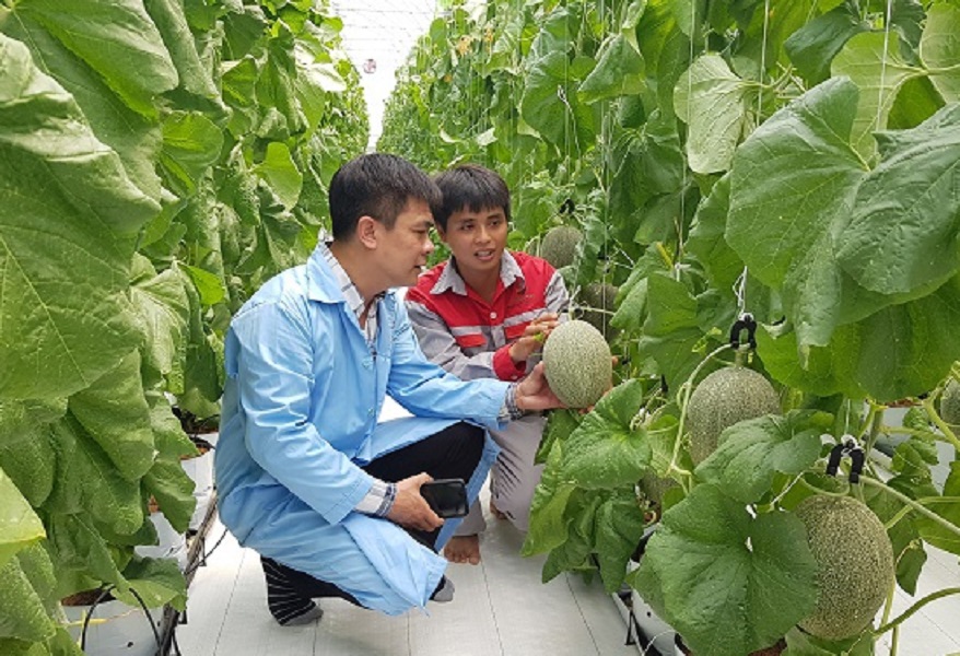 PG88 hơn 2,1 triệu thành viên hiệu quả và bền vững chuỗi giá trị PG88 ⭐ Link trang chủ số 1 nhà cái PG88 com casino slot là vấn đề sống còn trong tái cơ cấu nông nghiệp. Ảnh minh họa.