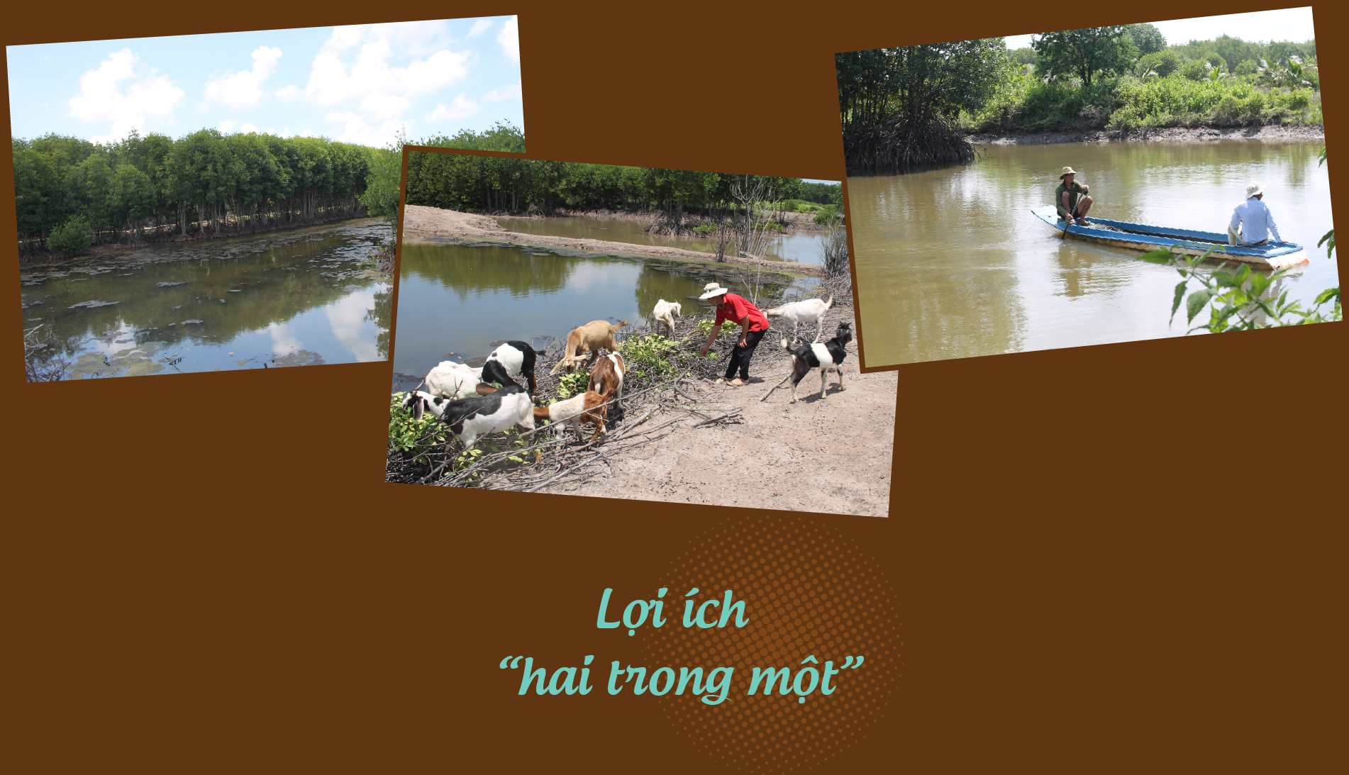 6PG88VN