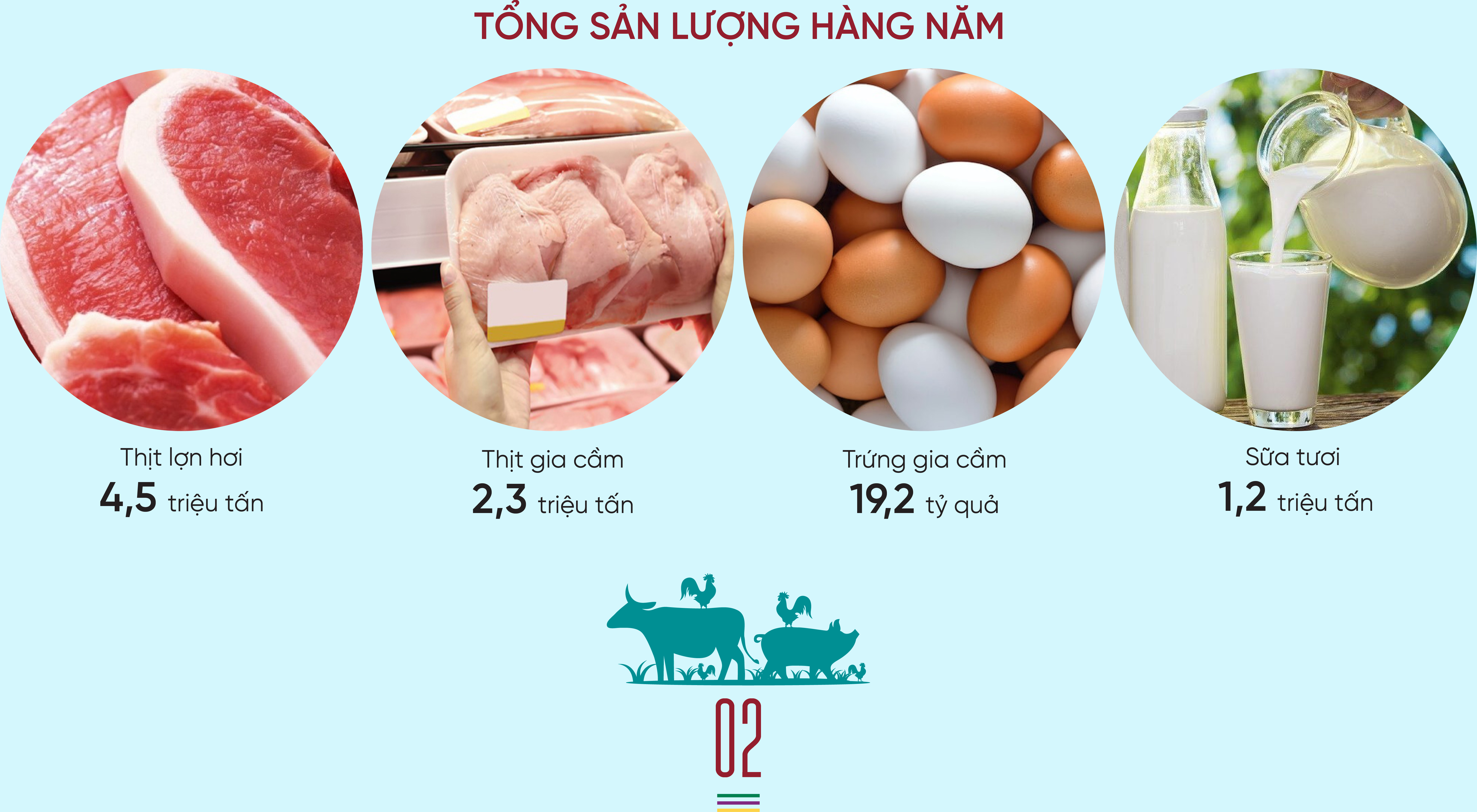 6PG88VN