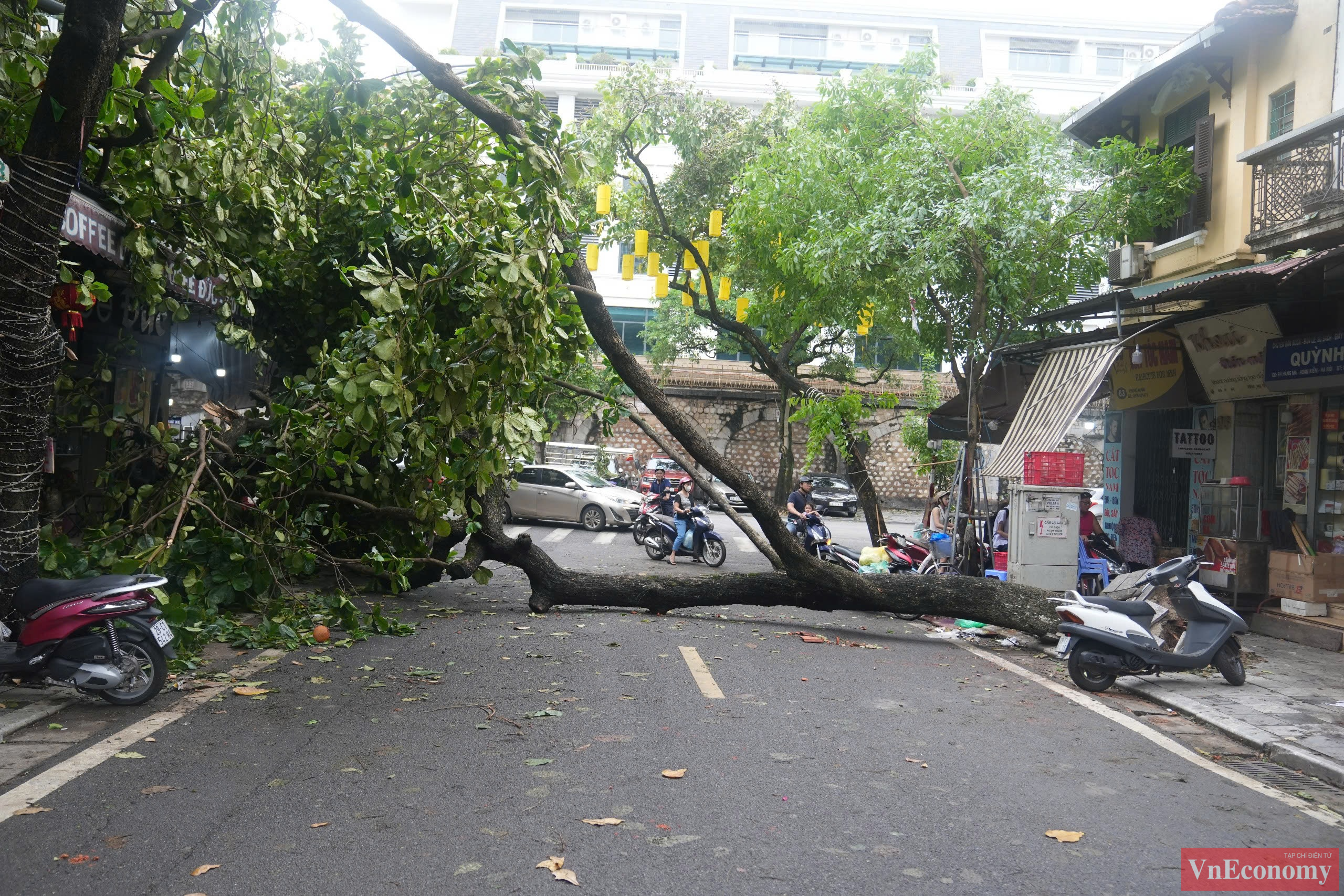 Nhiều c&acirc;y xanh g&atilde;y đổ hiện vẫn chưa thể khắc phục, khiến l&ograve;ng đường kh&ocirc;ng thể lưu th&ocirc;ng hoặc bị thu hẹp, c&aacute;c phương tiện di chuyển kh&oacute; khăn.