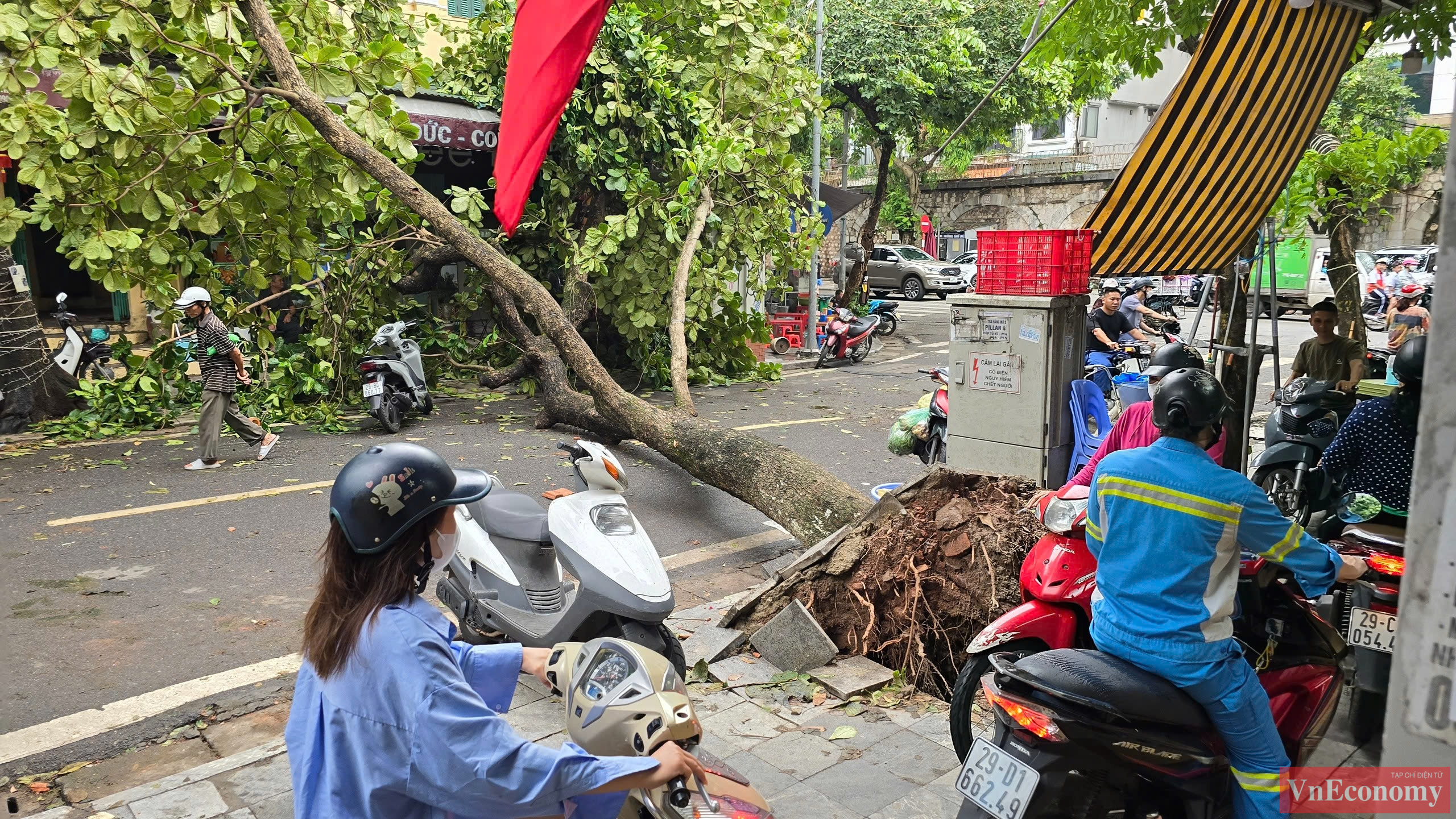 C&aacute;c tuyến phố quanh Phủ Do&atilde;n, Tr&agrave;ng Thi, Ph&ugrave;ng Hưng... cũng đều c&ograve;n tồn tại c&acirc;y g&atilde;y đổ, chỉ c&oacute; xe m&aacute;y c&oacute; thể t&igrave;m c&aacute;ch lưu th&ocirc;ng.