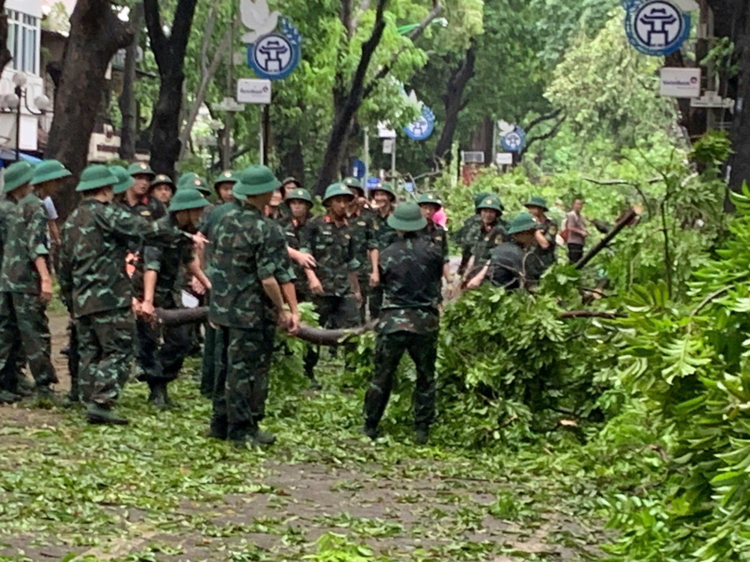 Hà Nội tập trung lực lượng, xử lý cây xanh bị đổ, gãy
