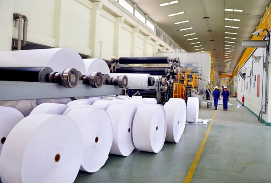 Chậm trễ sắp xếp, đổi mới gần 100 công ty nông lâm nghiệp chủ yếu vì đất đai