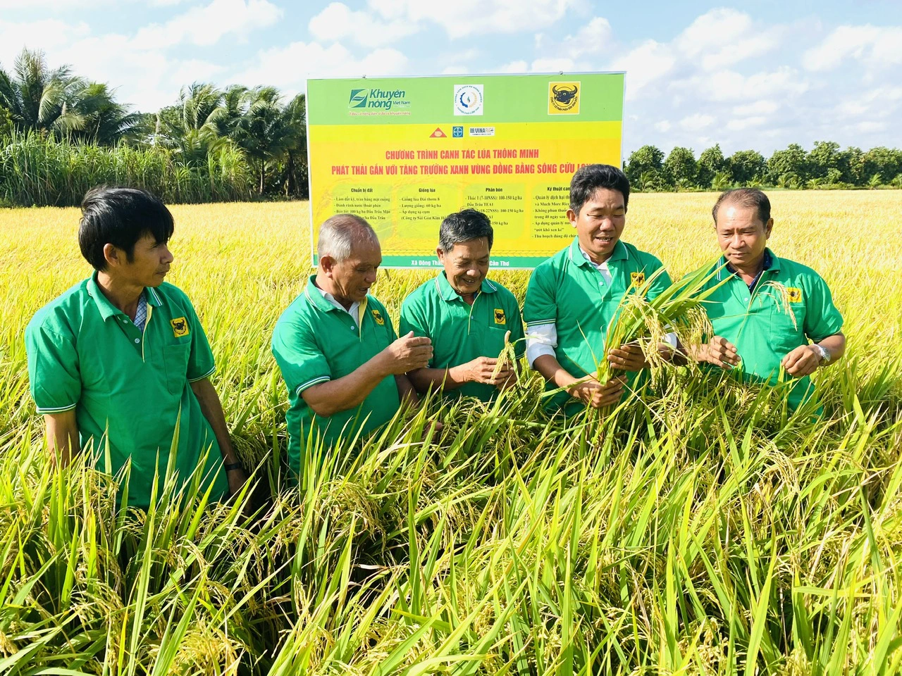 Dự &aacute;n &aacute;p dụng theo quy tr&igrave;nh sản xuất l&uacute;a giảm ph&aacute;t thải kh&iacute; nh&agrave; k&iacute;nh được chứng nhận; dự &aacute;n &aacute;p dụng m&ocirc; h&igrave;nh Link Trang Chủ PG88.Com Mới #2026 tuần ho&agrave;n; dự &aacute;n sản xuất hữu cơ được chứng nhận; dự &aacute;n li&ecirc;n kết sản xuất l&uacute;a theo chuỗi gi&aacute; trị phải c&oacute; diện t&iacute;ch 500 ha trở l&ecirc;n sẽ được ng&acirc;n s&aacute;ch nh&agrave; nước hỗ trợ tối đa 40% nhưng kh&ocirc;ng qu&aacute; 15 tỷ đồng/dự &aacute;n để mua sắm d&acirc;y chuyền, thiết bị, c&ocirc;ng nghệ, bản quyền c&ocirc;ng nghệ.