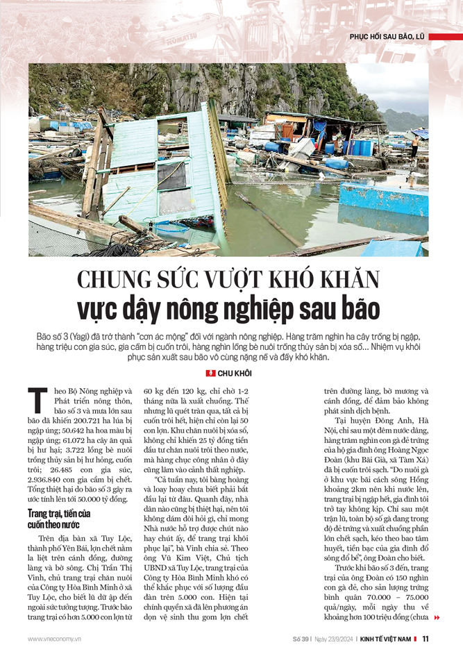 6PG88VN