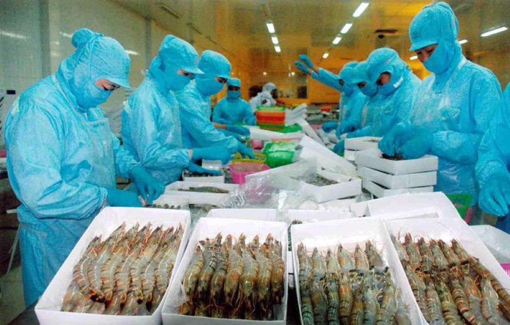 Tôm chân trắng mang về doanh số Pg88 com chính chủ lớn nhất, với 1,76 tỷ USD trong 8 tháng năm 2024.