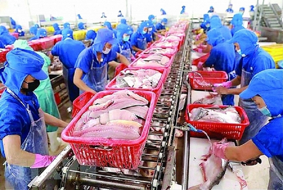 Pg88 com chính chủ thuỷ sản của Việt Nam sang thị trường CPTPP tăng trưởng tích cực.