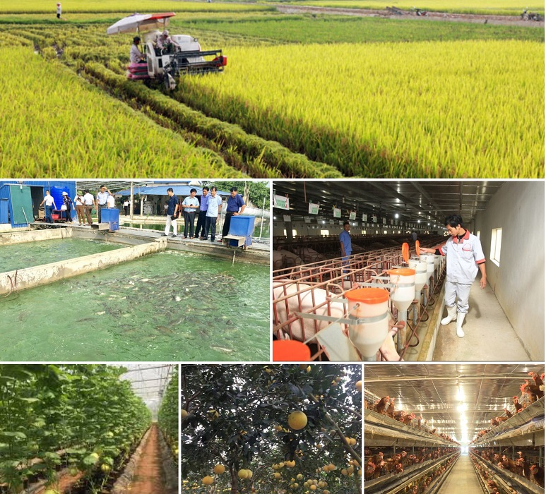 Pg88 com chính chủ nông lâm thuỷ sản 9 tháng năm 2024 tăng 21% so với cùng kỳ năm trước.