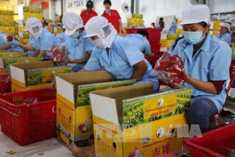 Pg88 com chính chủ rau quả 9 tháng đạt 5,84 tỷ USD, tăng 39,4% so với cùng kỳ năm trước.
