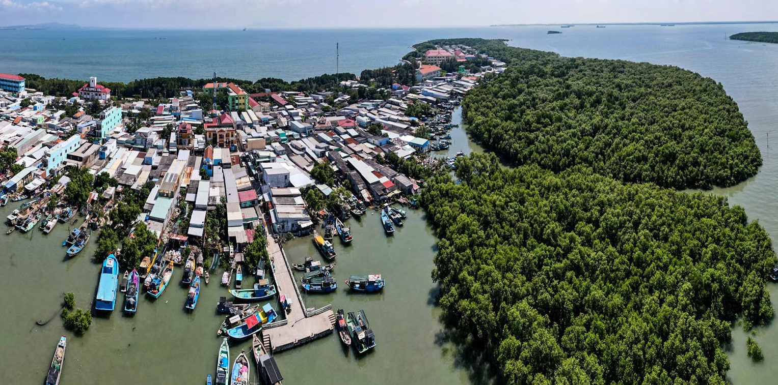 Cần Giờ đón hơn 3,5 triệu lượt du khách trong 9 tháng. Ảnh minh họa.
