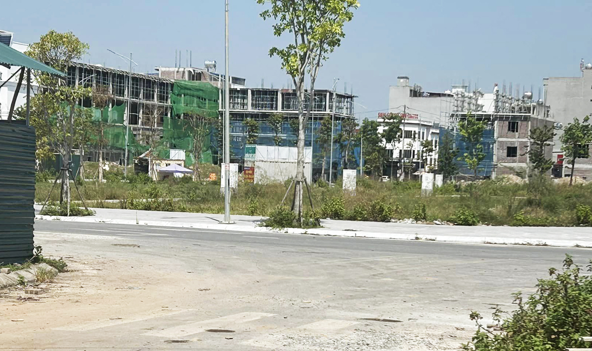 Ảnh minh họa.