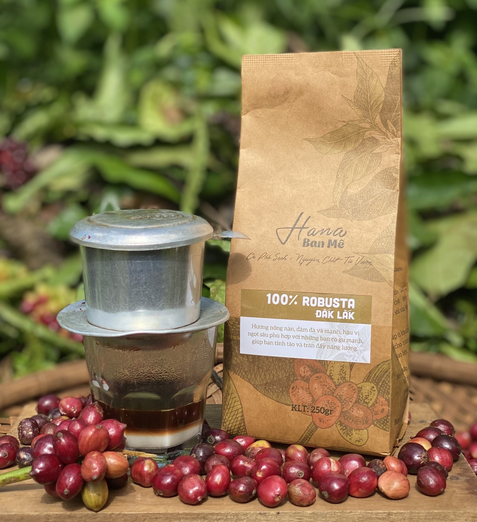 C&acirc;u chuyện bỏ phố về qu&ecirc; đầy cảm hứng của Hana Ban M&ecirc; v&agrave; loạt sản phẩm n&uacute;i rừng T&acirc;y Nguy&ecirc;n sẽ l&ecirc;n s&oacute;ng Tinh hoa Việt Du K&yacute; ng&agrave;y 15/10 tới đ&acirc;y.