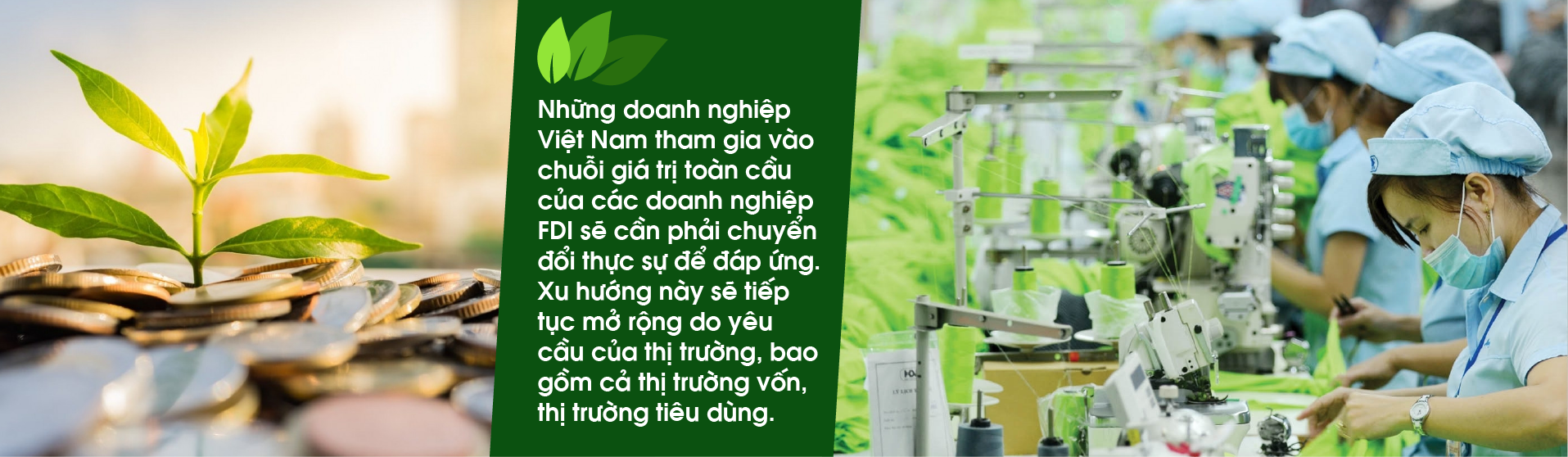 6PG88VN