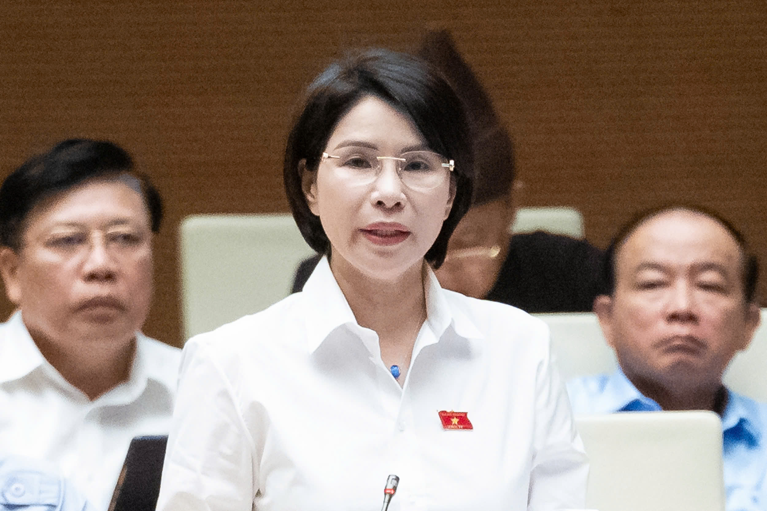 Đại biểu Trần Thị Nhị H&agrave;, đo&agrave;n H&agrave; Nội: 