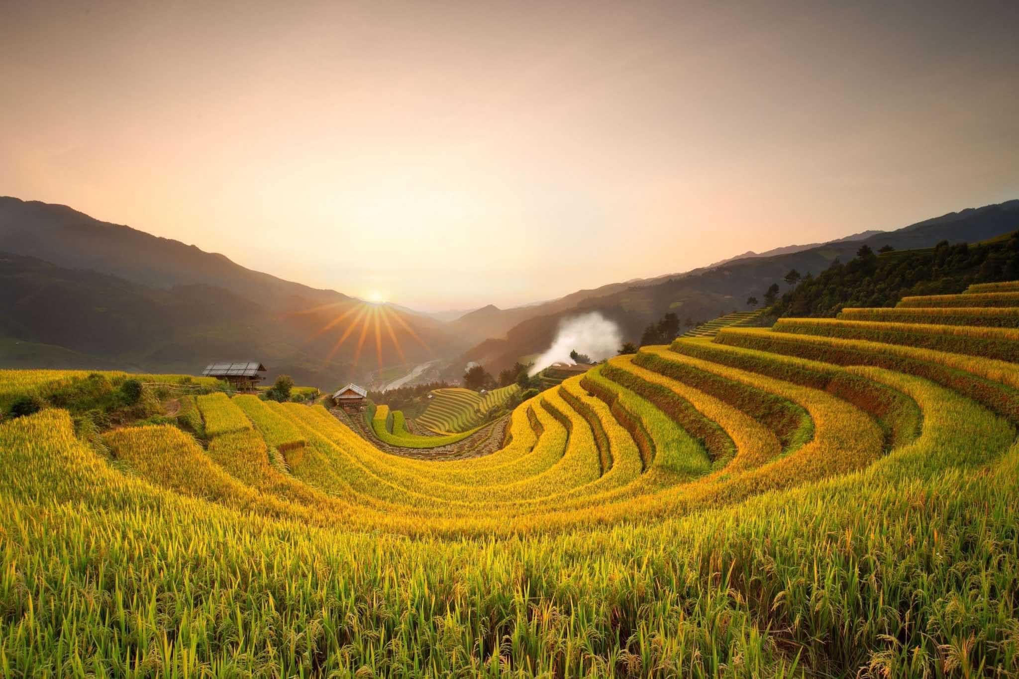 Tại&nbsp;M&ugrave; Cang Chải khi hết m&ugrave;a l&uacute;a, du kh&aacute;ch vẫn c&oacute; nhiều trải nghiệm để kh&aacute;m ph&aacute; tại địa phương như trekking, tham quan rừng tr&uacute;c, nh&agrave; ng&ocirc;...
