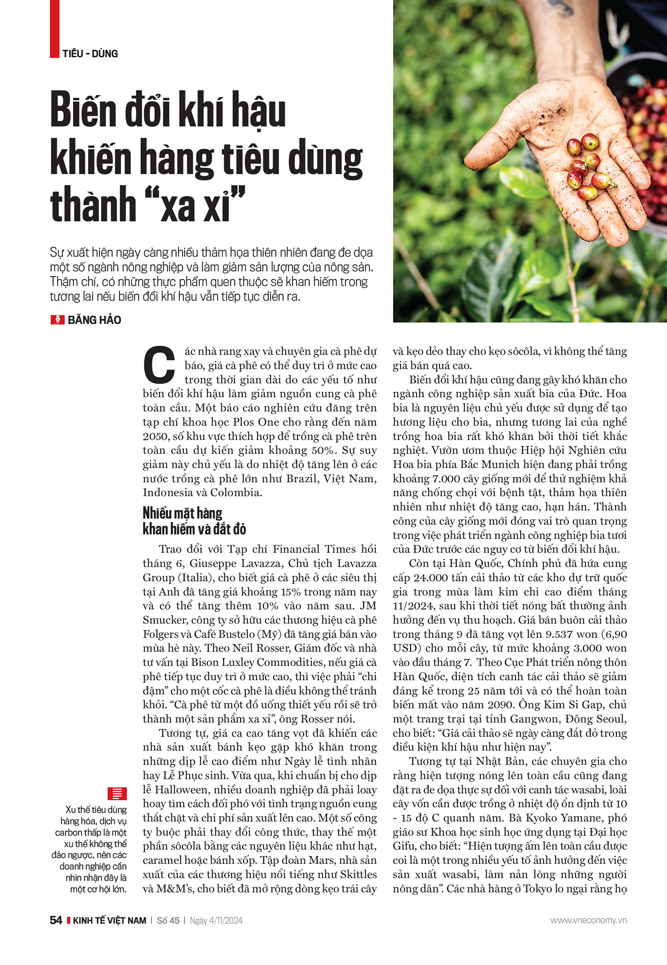 6PG88VN