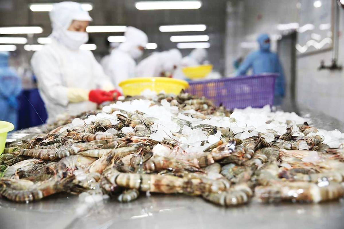 Pg88 com chính chủ tôm 9 tháng năm 2024  đạt 2,8 tỷ USD, tăng 11% so với cùng kỳ năm 2023.