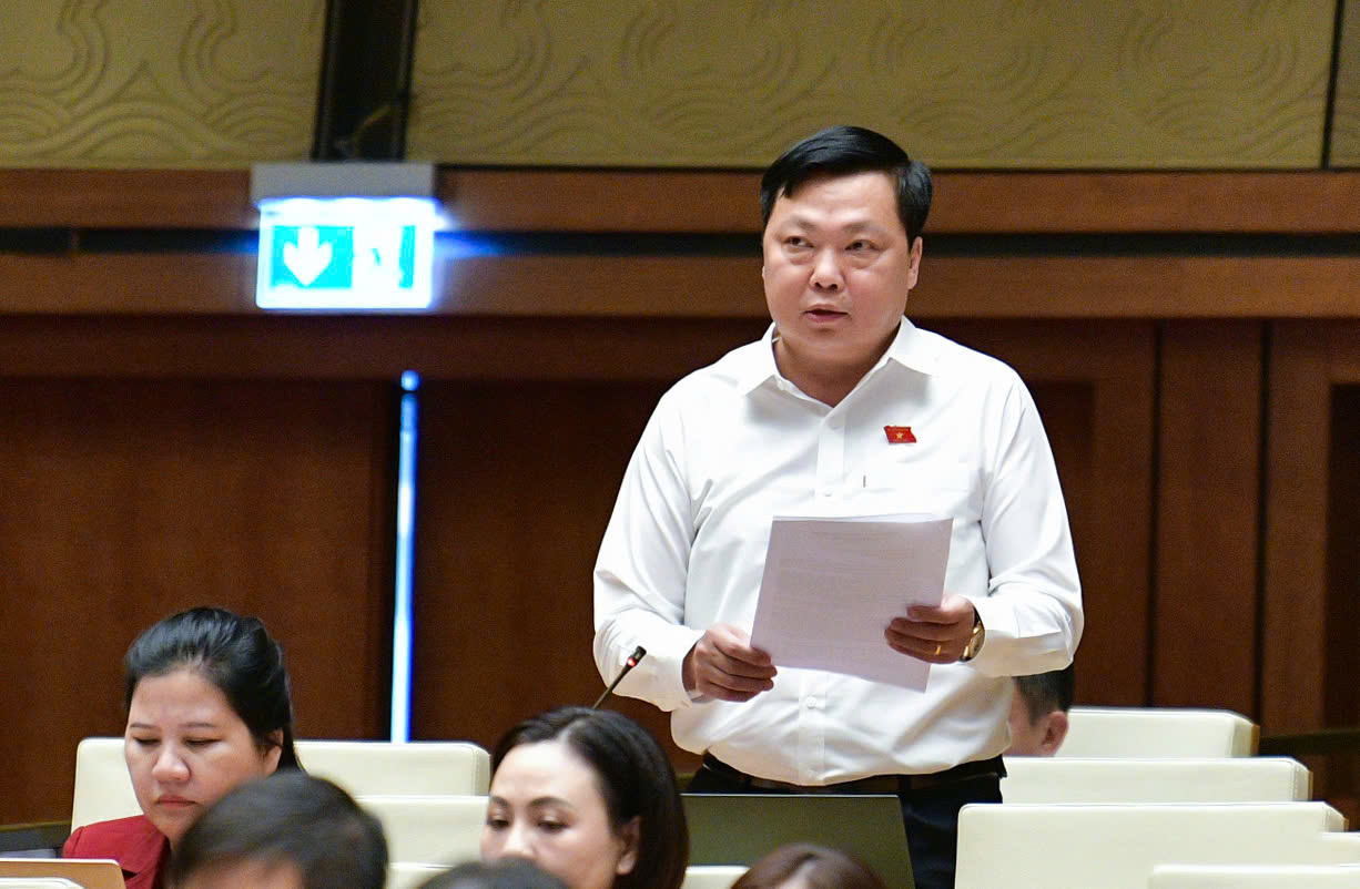 Đại biểu Phạm H&ugrave;ng Thắng, đo&agrave;n H&agrave; Nam: 